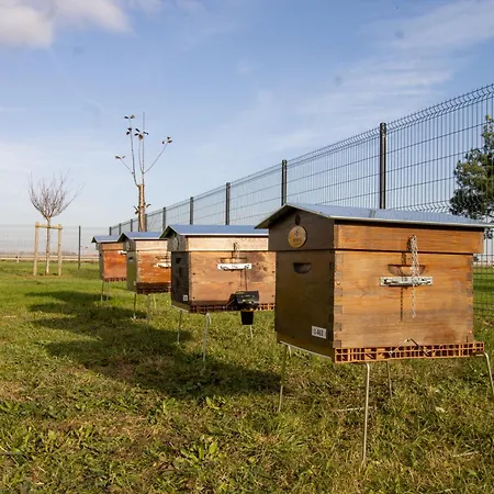 Отель Ibis Le Bourget Гонес